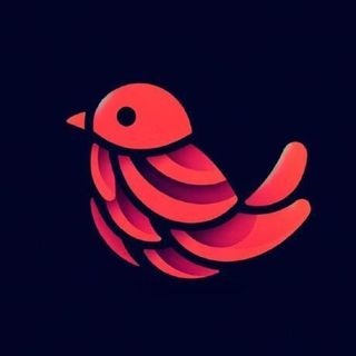 bardui profile picture