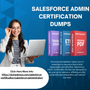 salesforceadmindumps profile