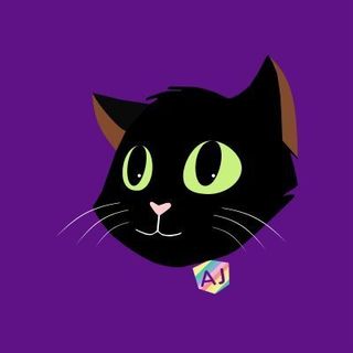 CodingCat.dev profile picture