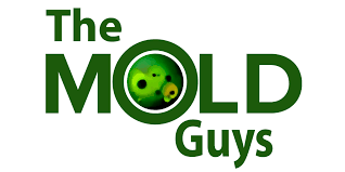 Mold Guys profile picture