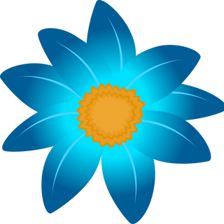 Doris R. Studley profile picture