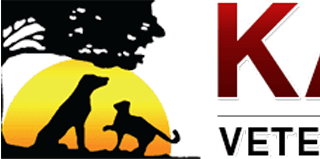 Kainer vet profile picture