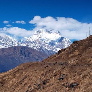 Nature Heaven Treks and Expedition profile picture