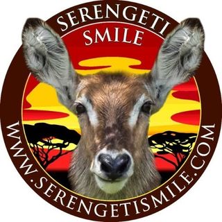 serengetismile profile picture
