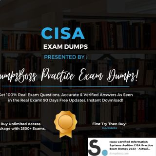CISA Dumps profile picture