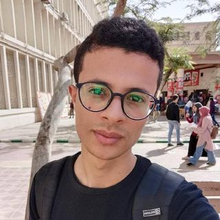 Ziad Mansour profile picture
