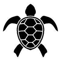 Typing Turtle profile picture