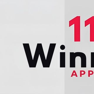 11 Winner profile picture